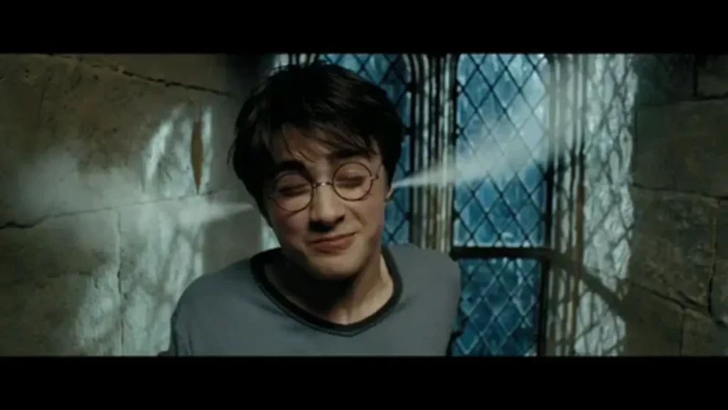Dirty Harry Potter Pick Up Lines