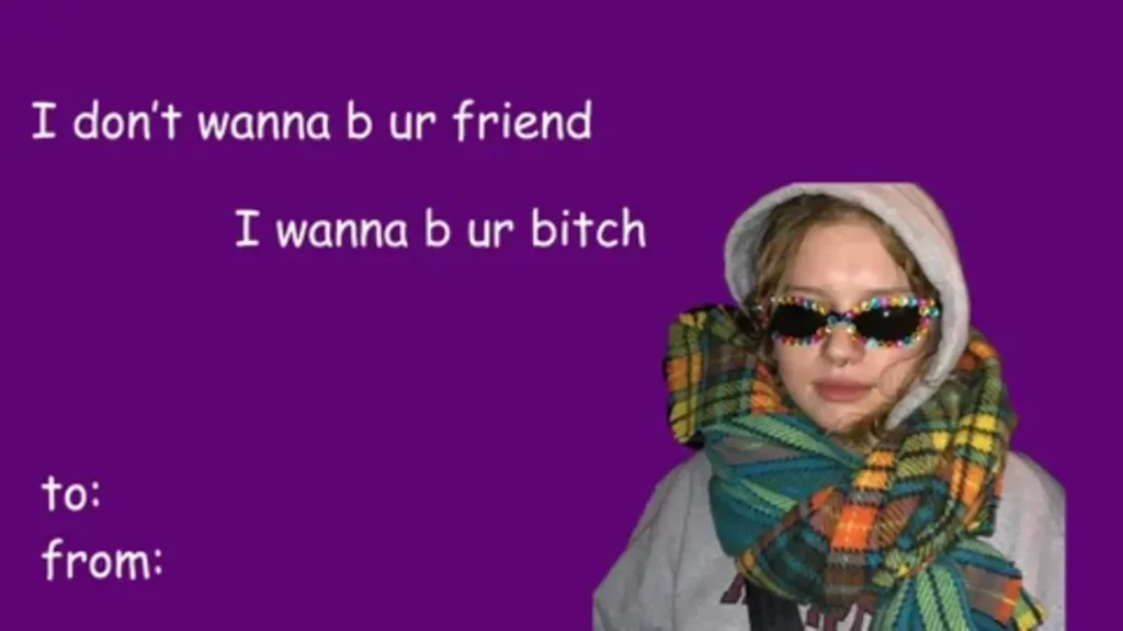 Funny Valentine Pick Up Lines