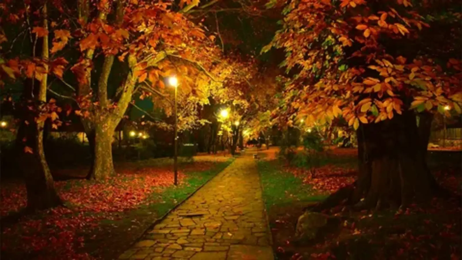 autumn date night ideas